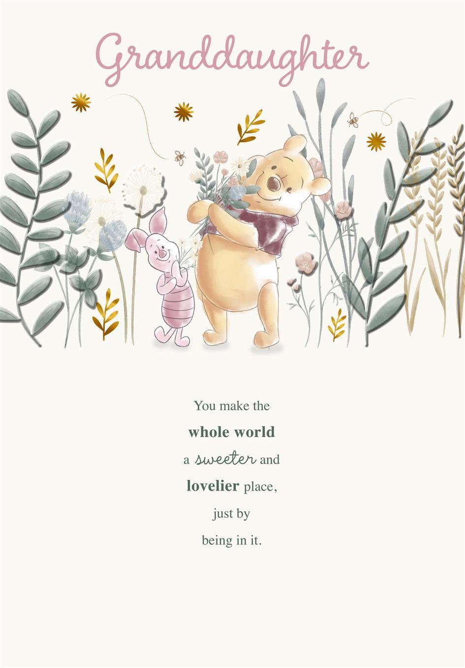 Hallmark Winnie The Pooh Grandaughter Birthday Card