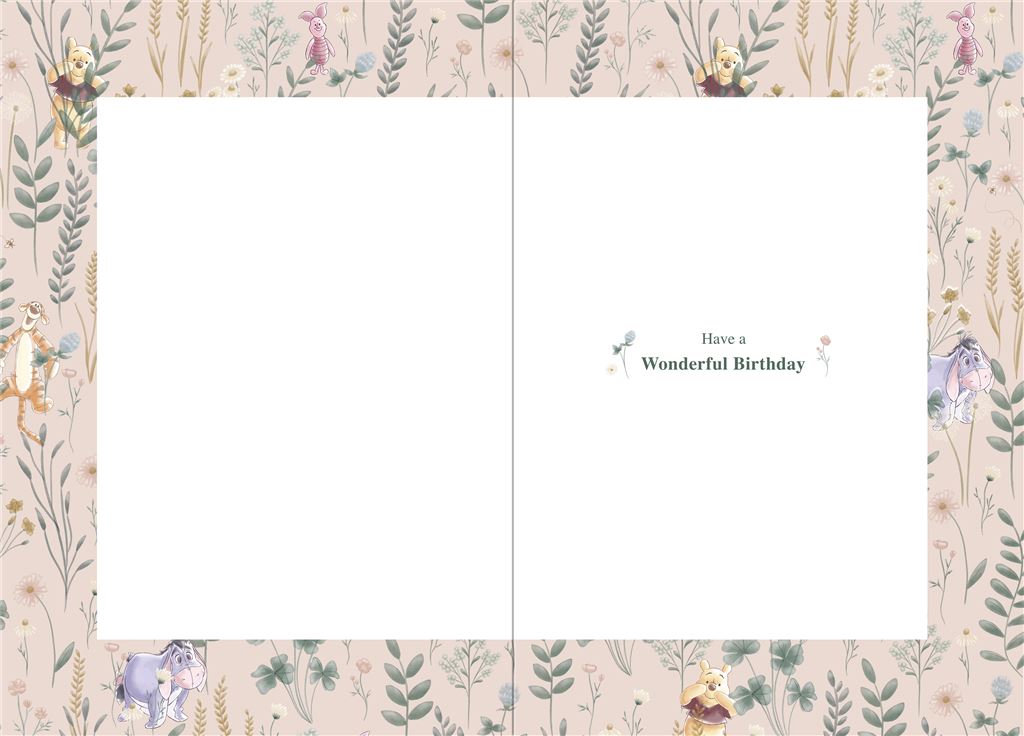 Hallmark Winnie The Pooh Grandaughter Birthday Card