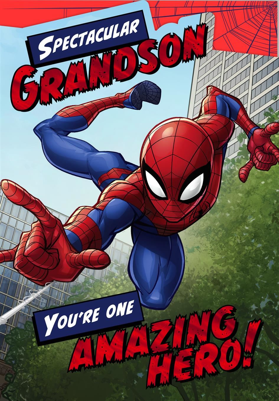 Hallmark Marvel Spider-Man Grandson Birthday Card