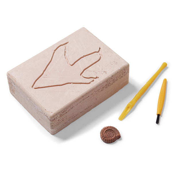 Natural History Museum T-Rex Excavation Kit