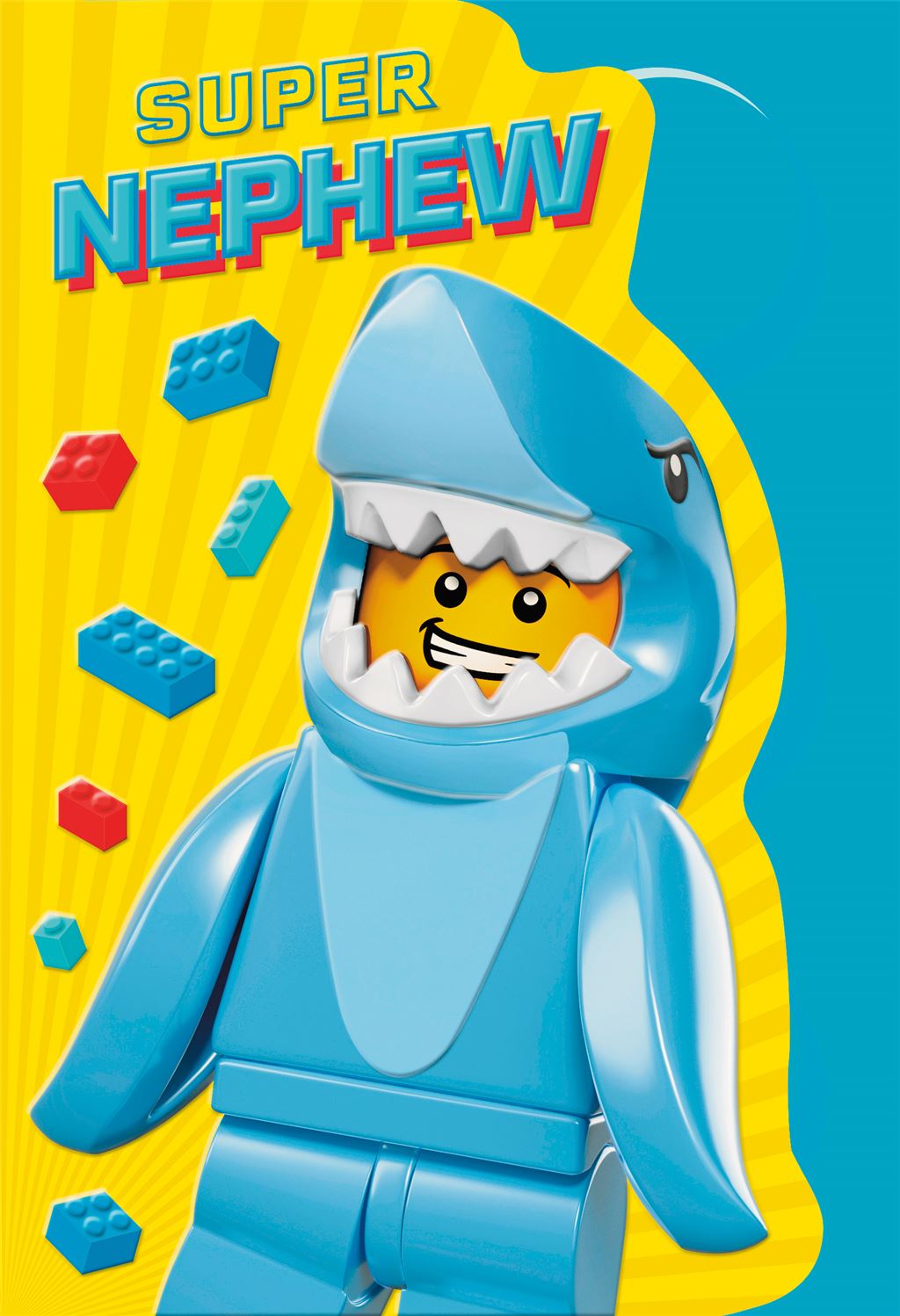 Hallmark Lego Nephew Birthday Card
