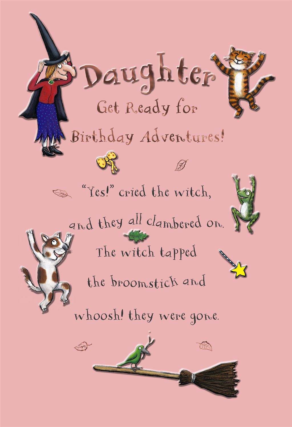Hallmark Room on the Broom Daughter Birthday Card