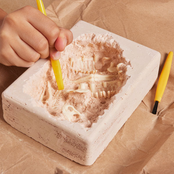 Natural History Museum T-Rex Excavation Kit