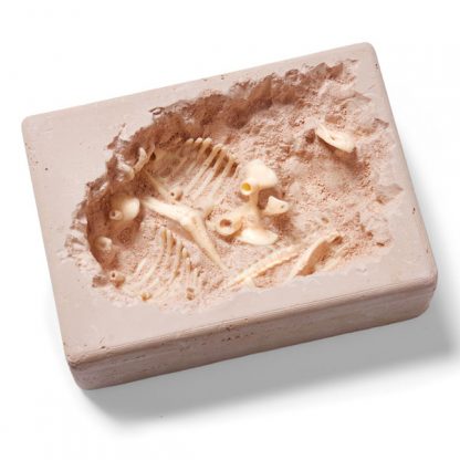 Natural History Museum T-Rex Excavation Kit
