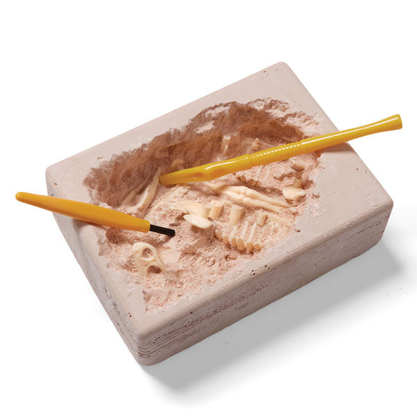 Natural History Museum T-Rex Excavation Kit