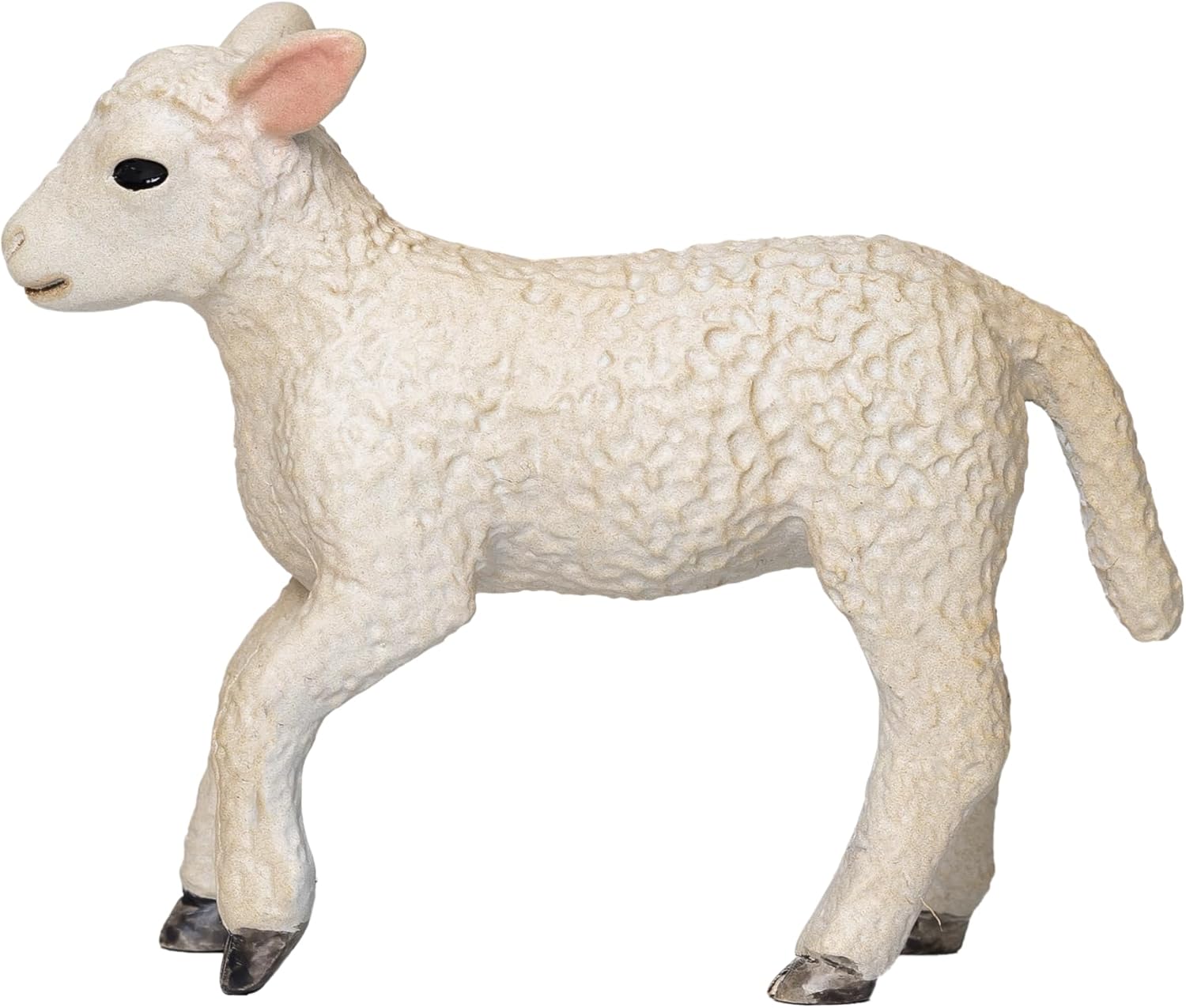 MOJO - Romney Lamb Running