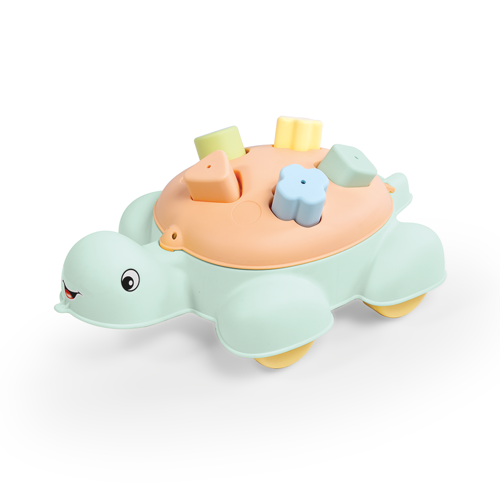 Turtle Shape Sorter 5 Piece Set