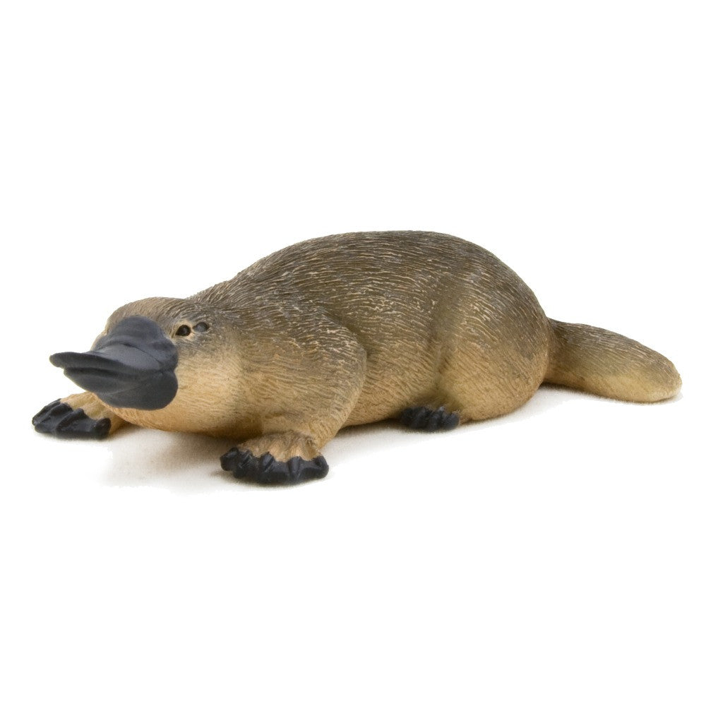 MOJO - Duck Billed Platypus