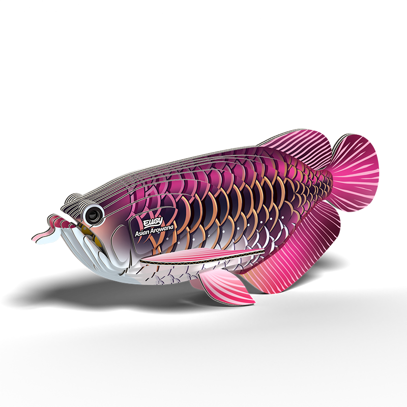 EUGY Asian Arowana