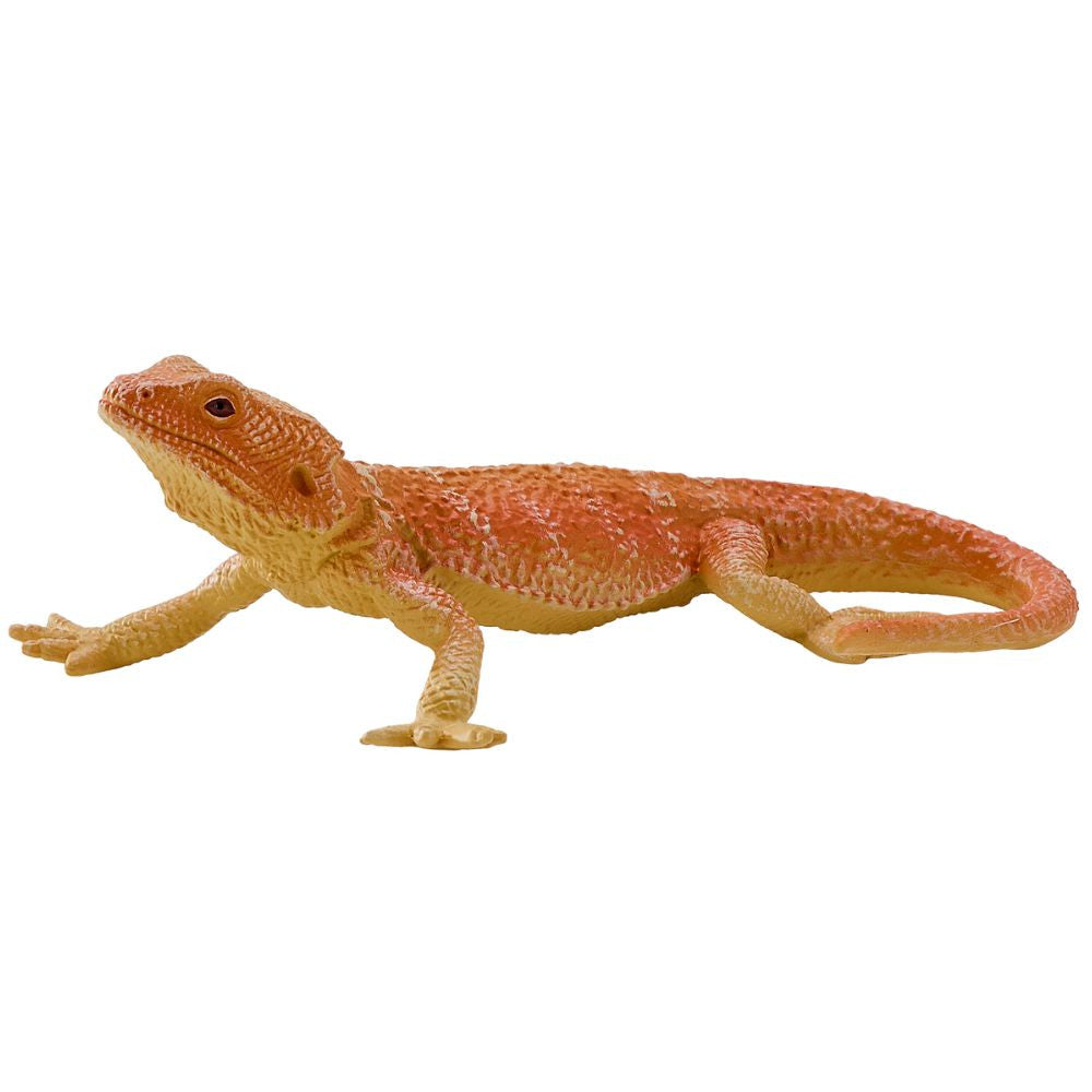 MOJO - Bearded Dragon