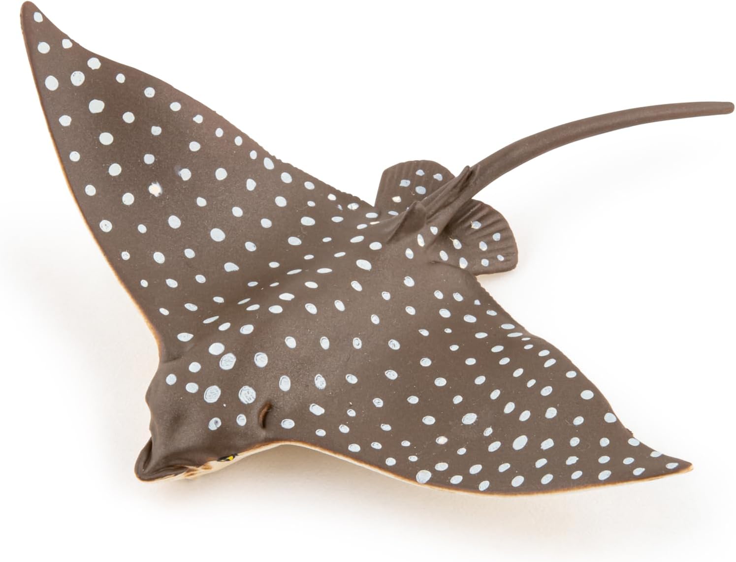 MOJO - Spotted Eagle Ray