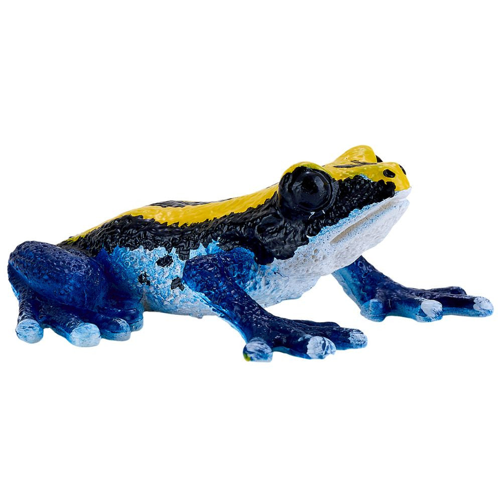 MOJO - Poison Dart Frog Blue