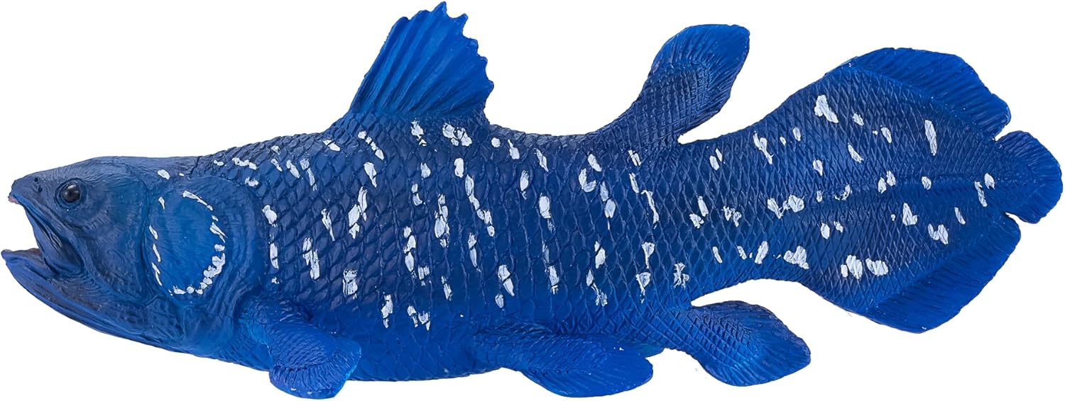 MOJO - Coelacanth