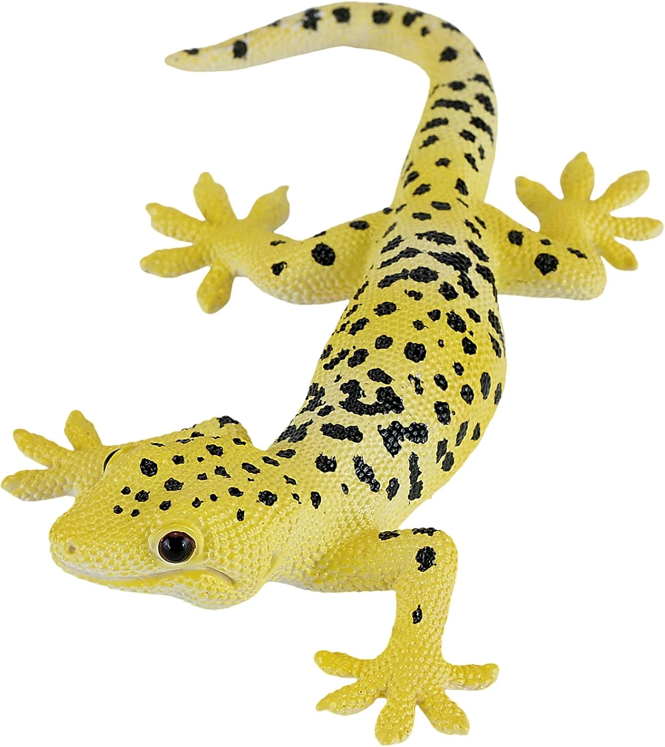 MOJO - Leopard Gecko