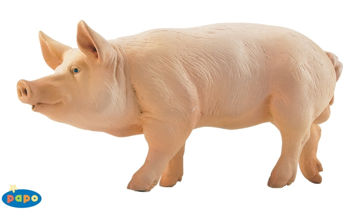 Papo Boar