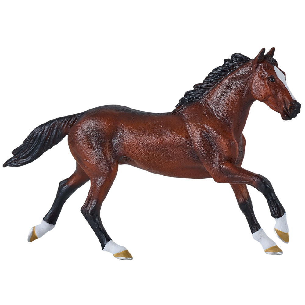 MOJO - Thoroughbred Horse
