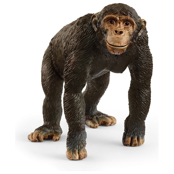 Schleich Chipmanzee