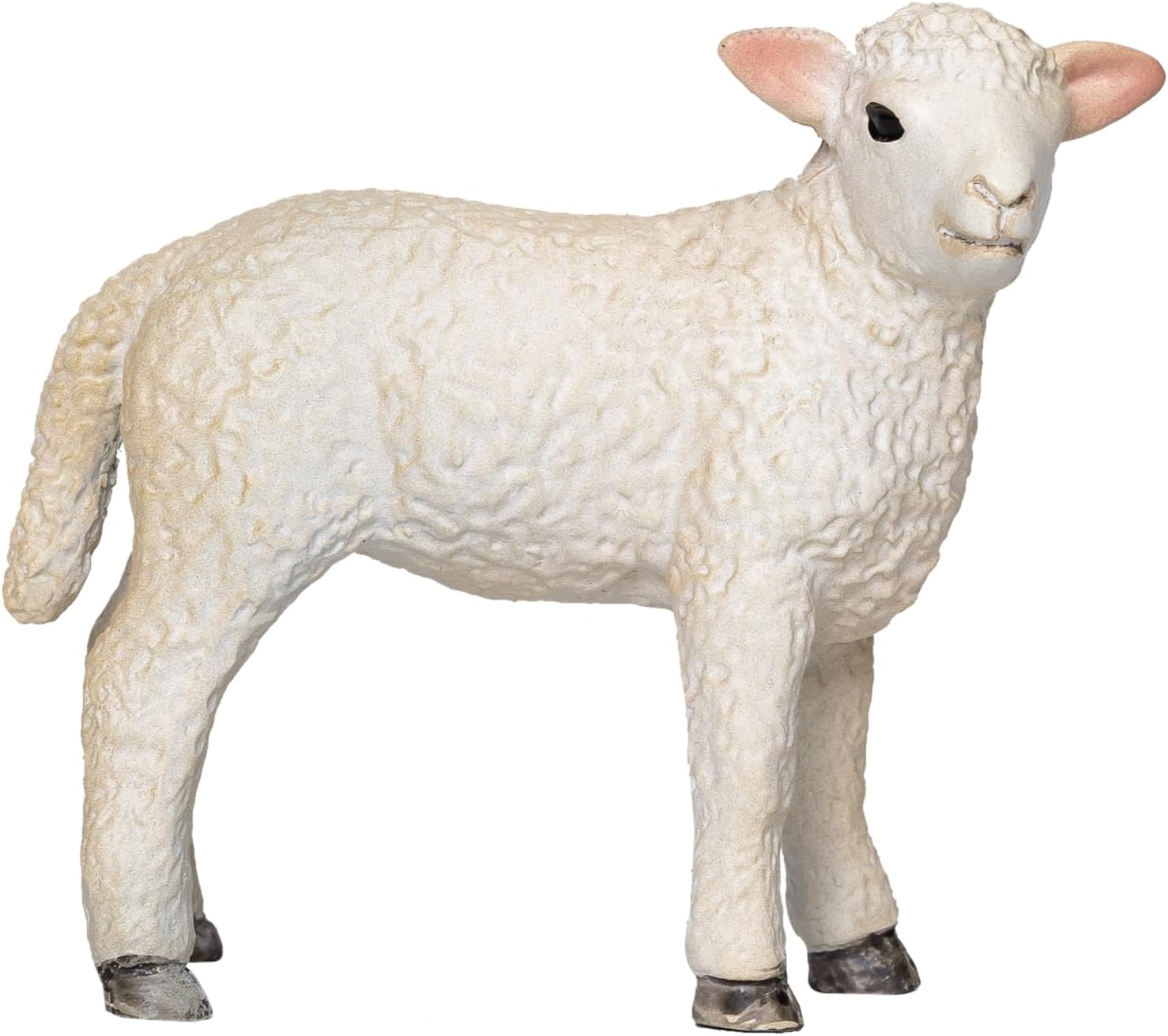 MOJO - Romney Lamb Standing