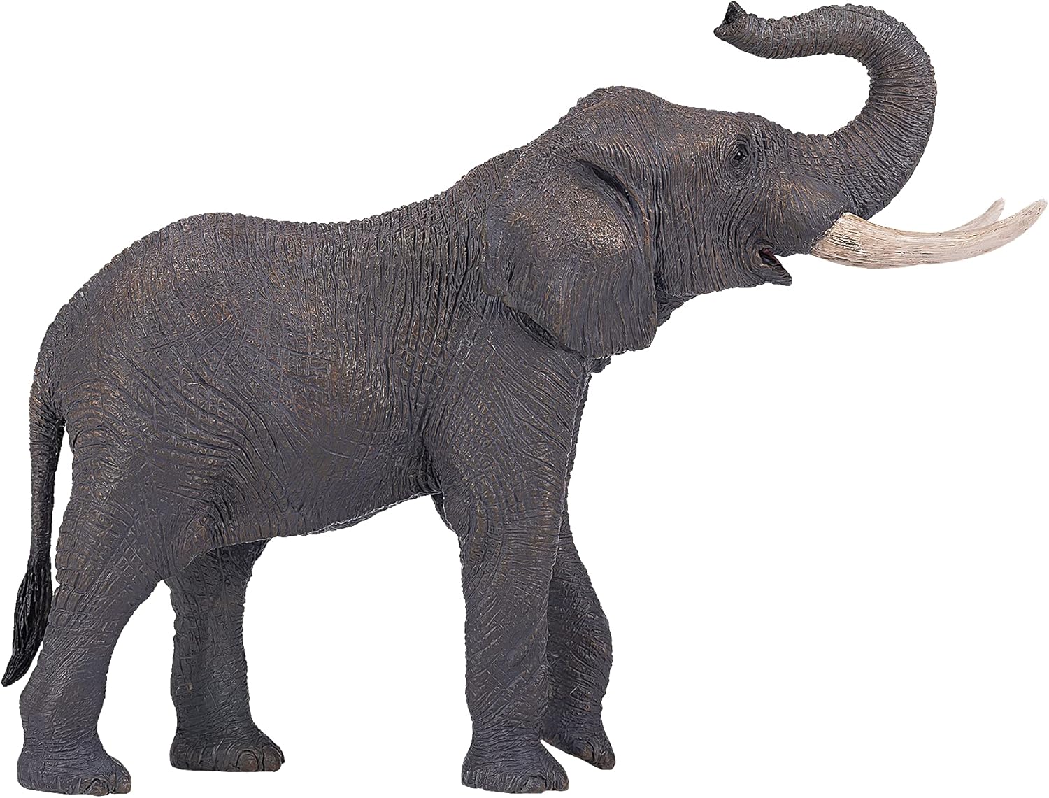 MOJO - African Bull Elephant