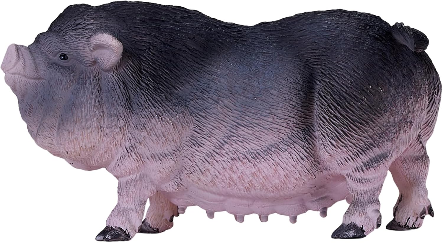 MOJO - Pot Bellied Pig