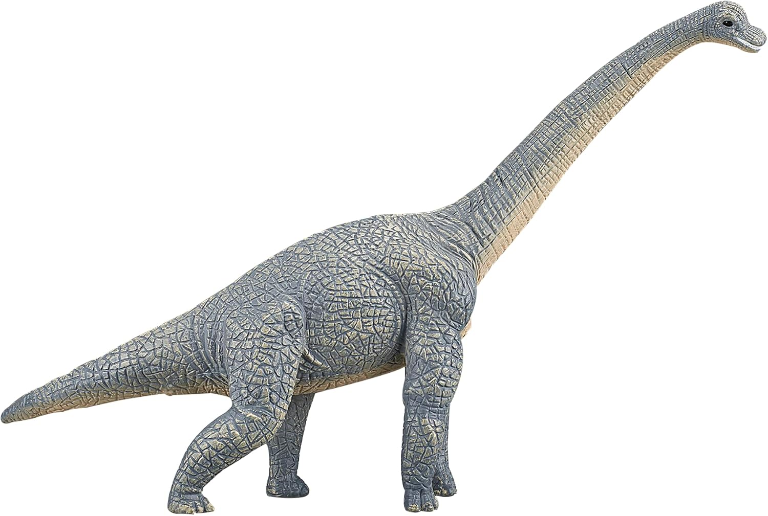 MOJO - Brachiosaurus Blue