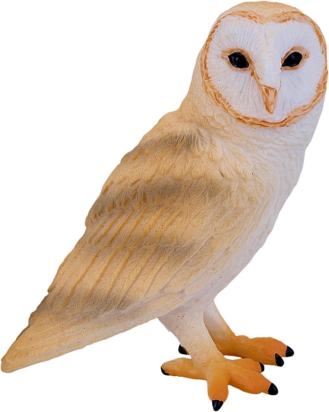 MOJO - Barn Owl