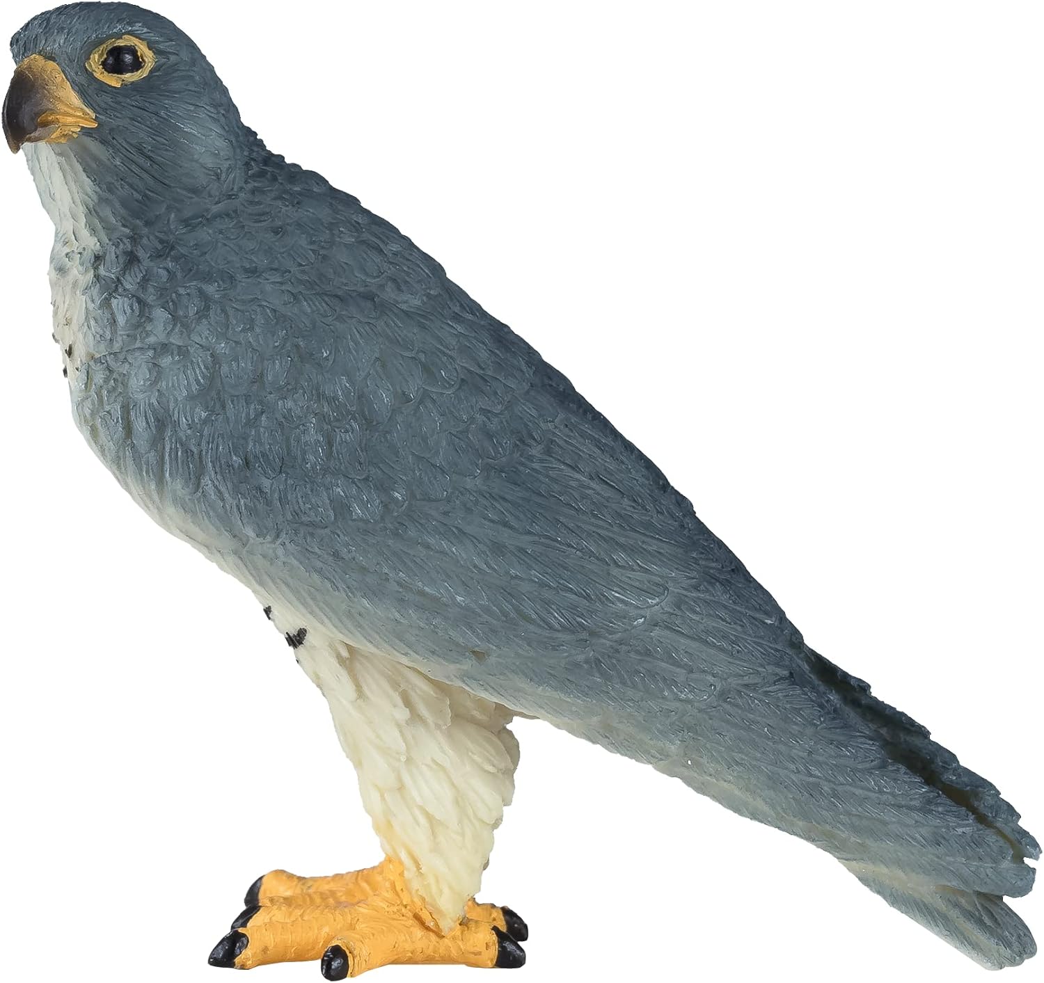 MOJO - Peregrine Falcon