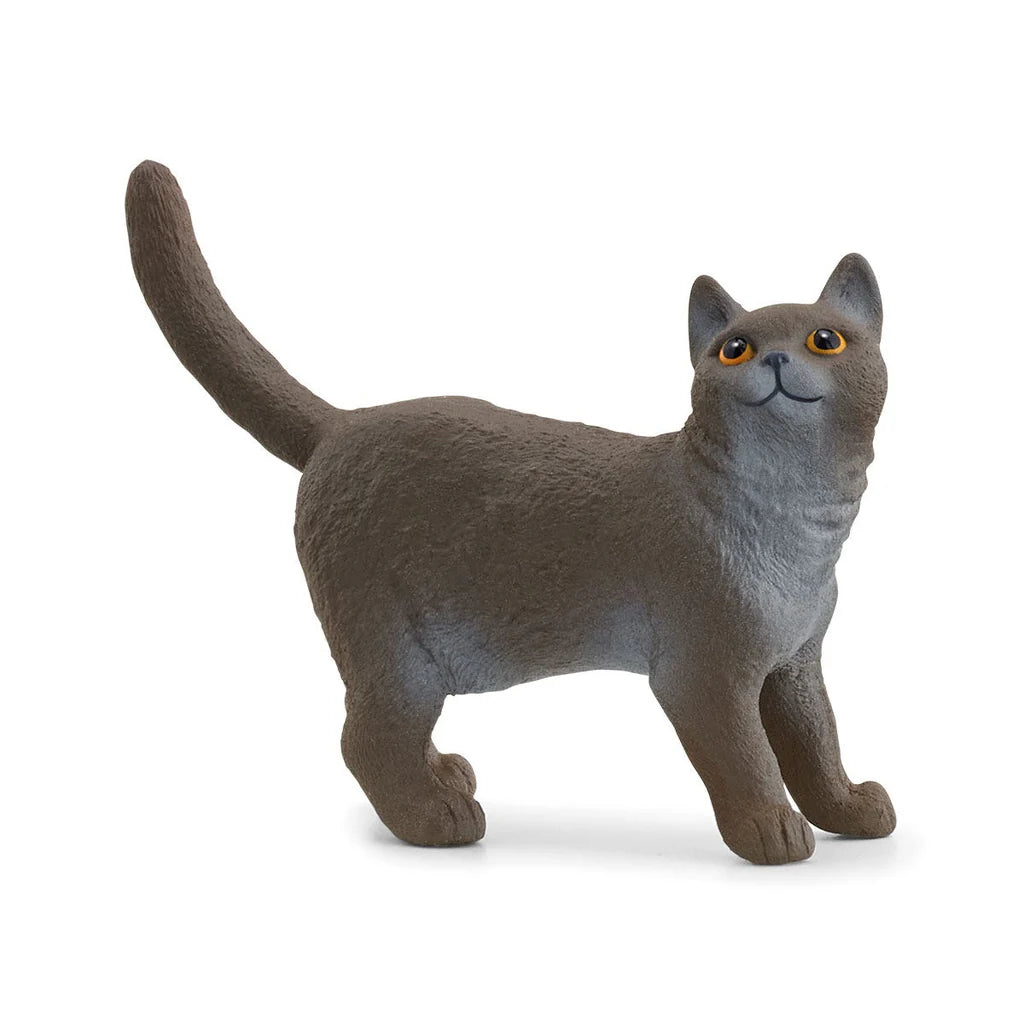 Schleich British Shorthair Cat