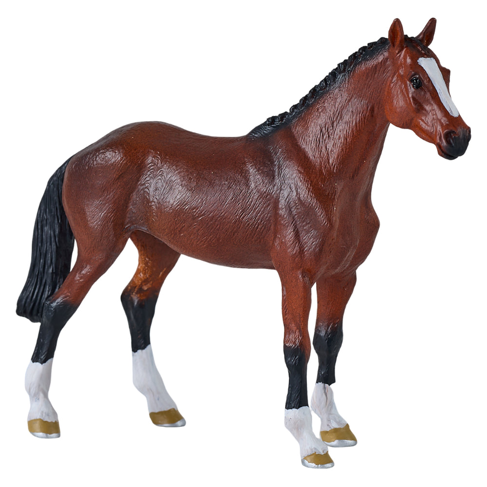 MOJO - Dutch Warmblood Horse