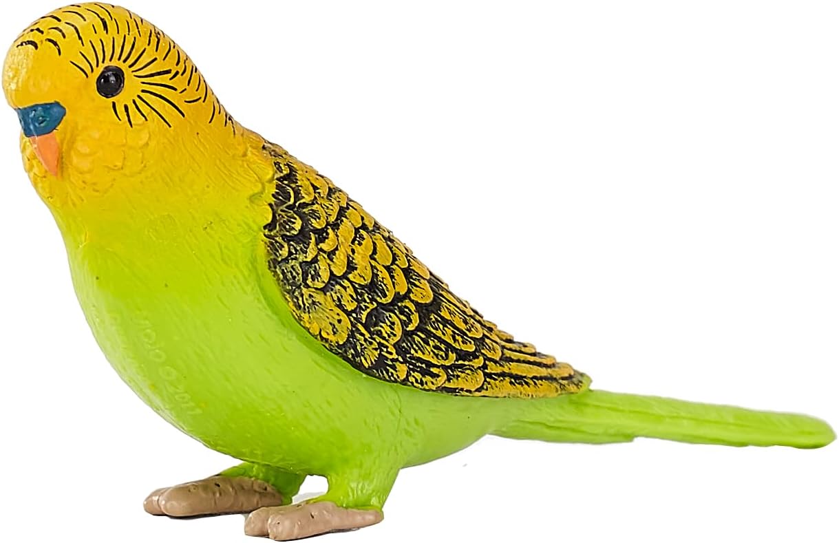 MOJO - Budgerigar Green