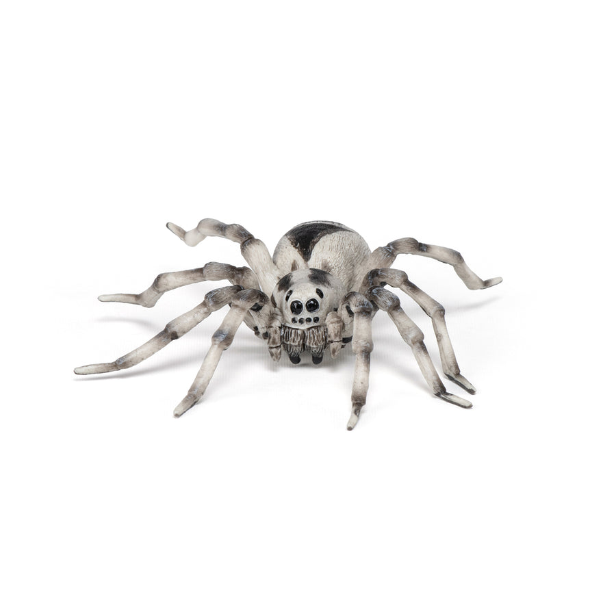 Papo Tarantula