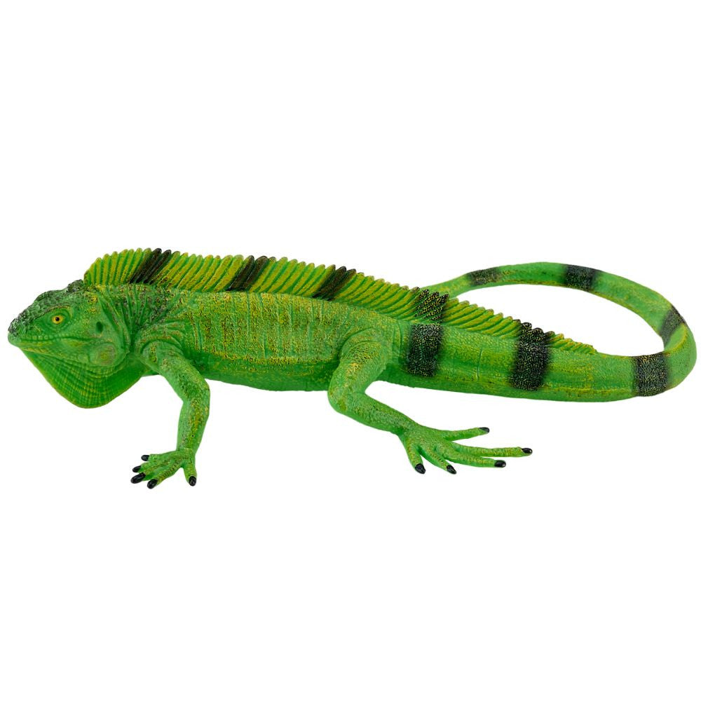 MOJO - Iguana