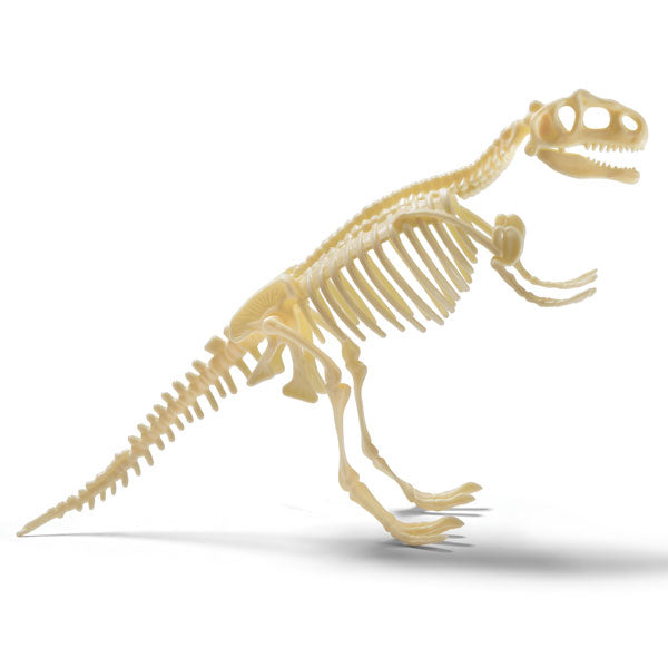 Natural History Museum T-Rex Excavation Kit