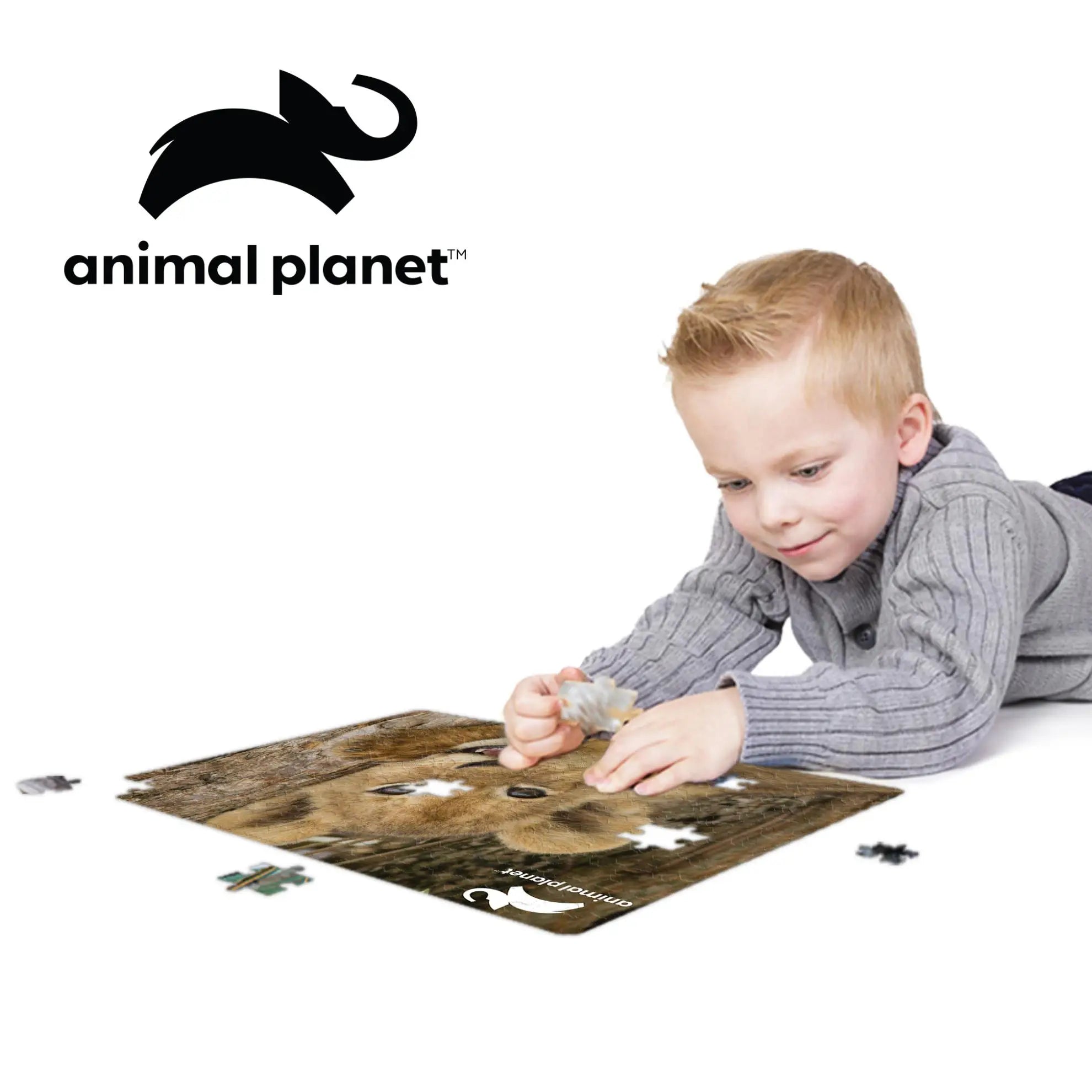 Prime 3D Animal Planet Lion Club 150 Piece Jigsaw Puzzle