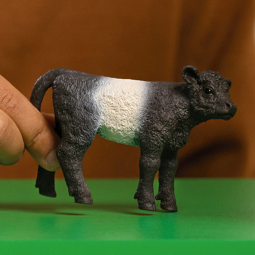 Schleich Galloway Calf