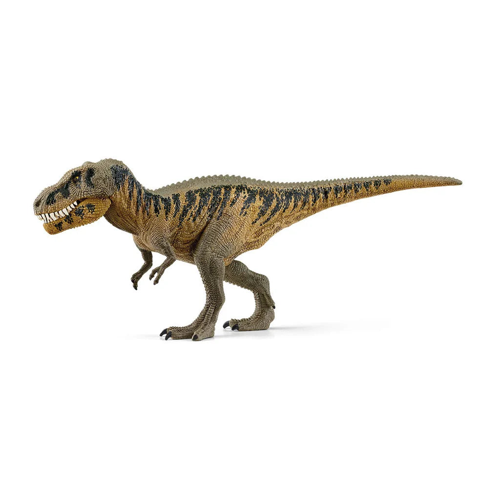 Schleich Tarbosaurus