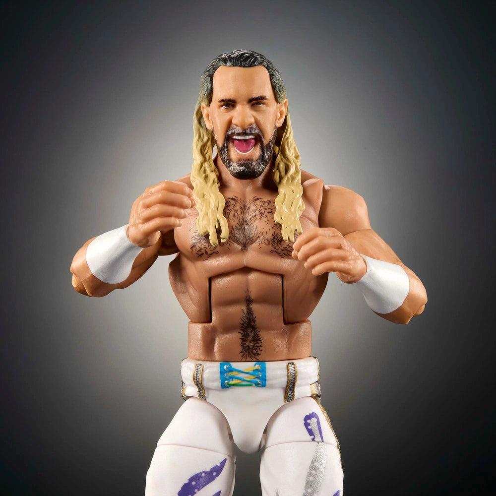 WWE Seth Rollins Elite Action Figure Series 117