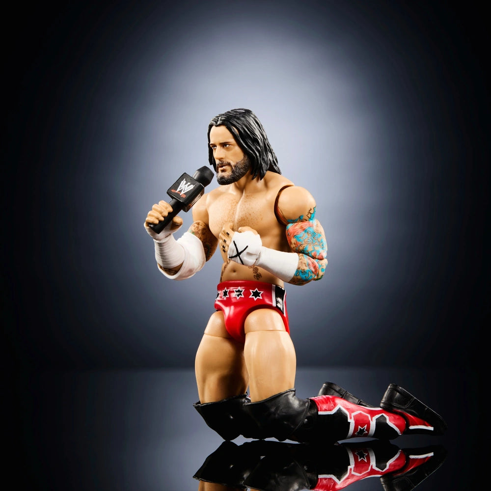 WWE Cm Punk Royal Rumble Figure