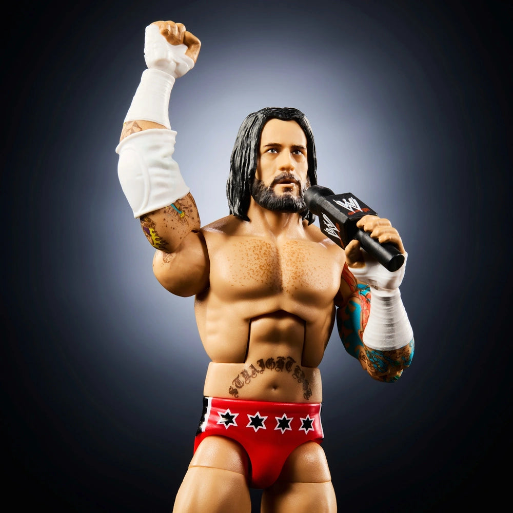 WWE Cm Punk Royal Rumble Figure