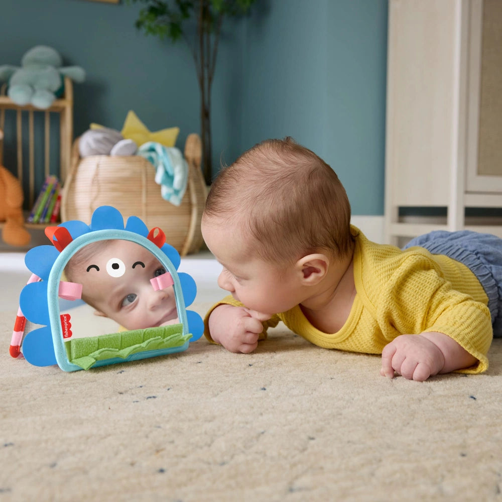 Fisher Price Prop n Go Portable Mirror