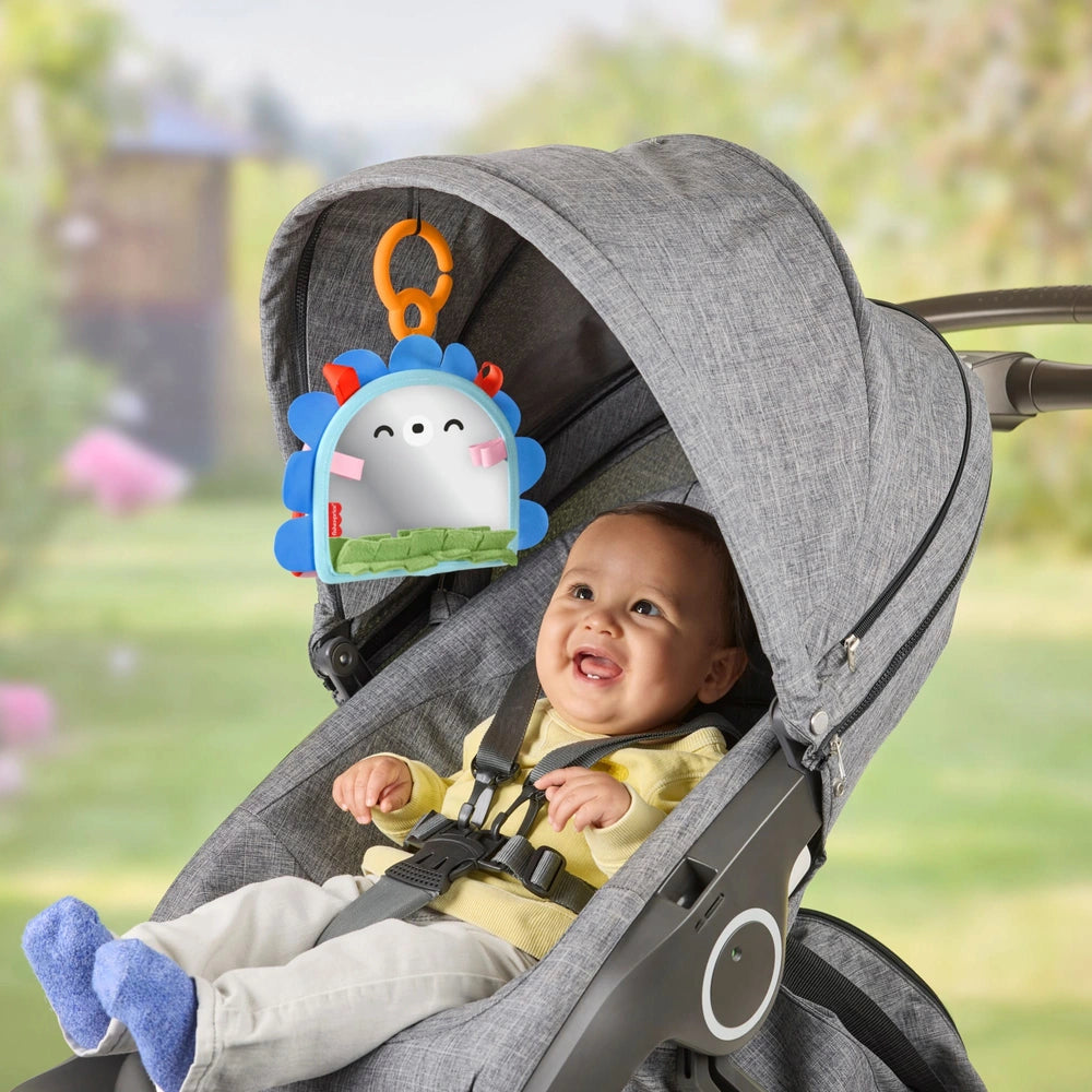 Fisher Price Prop n Go Portable Mirror