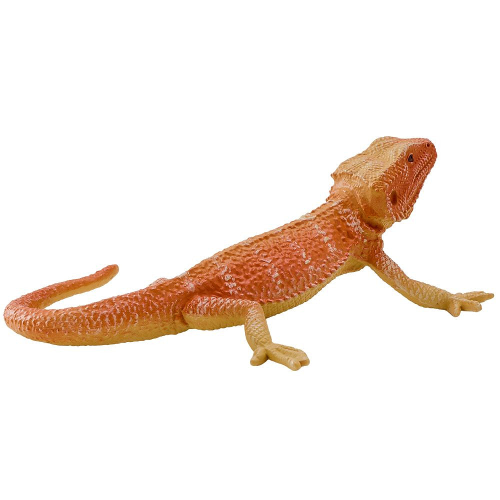 MOJO - Bearded Dragon