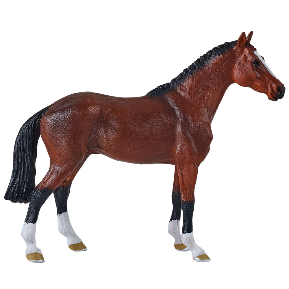 MOJO - Dutch Warmblood Horse