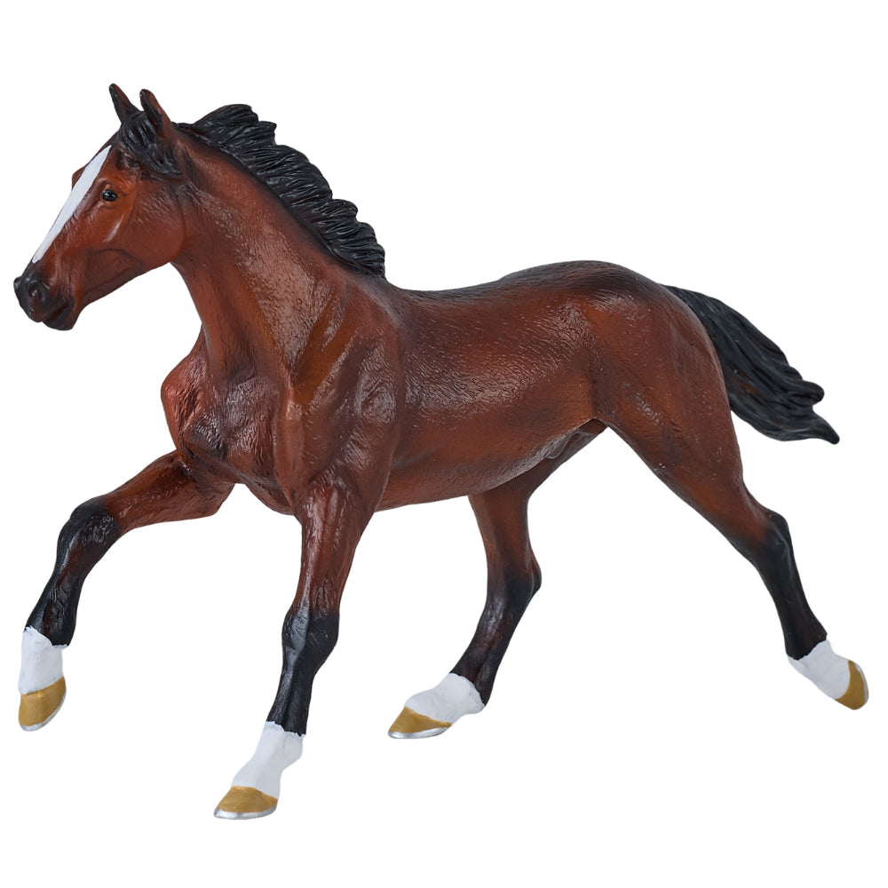 MOJO - Thoroughbred Horse
