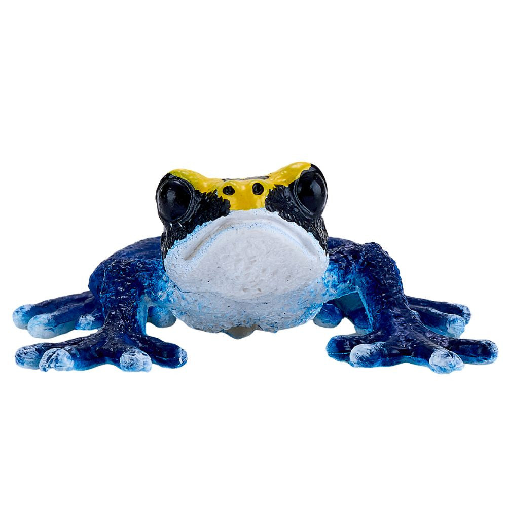 MOJO - Poison Dart Frog Blue