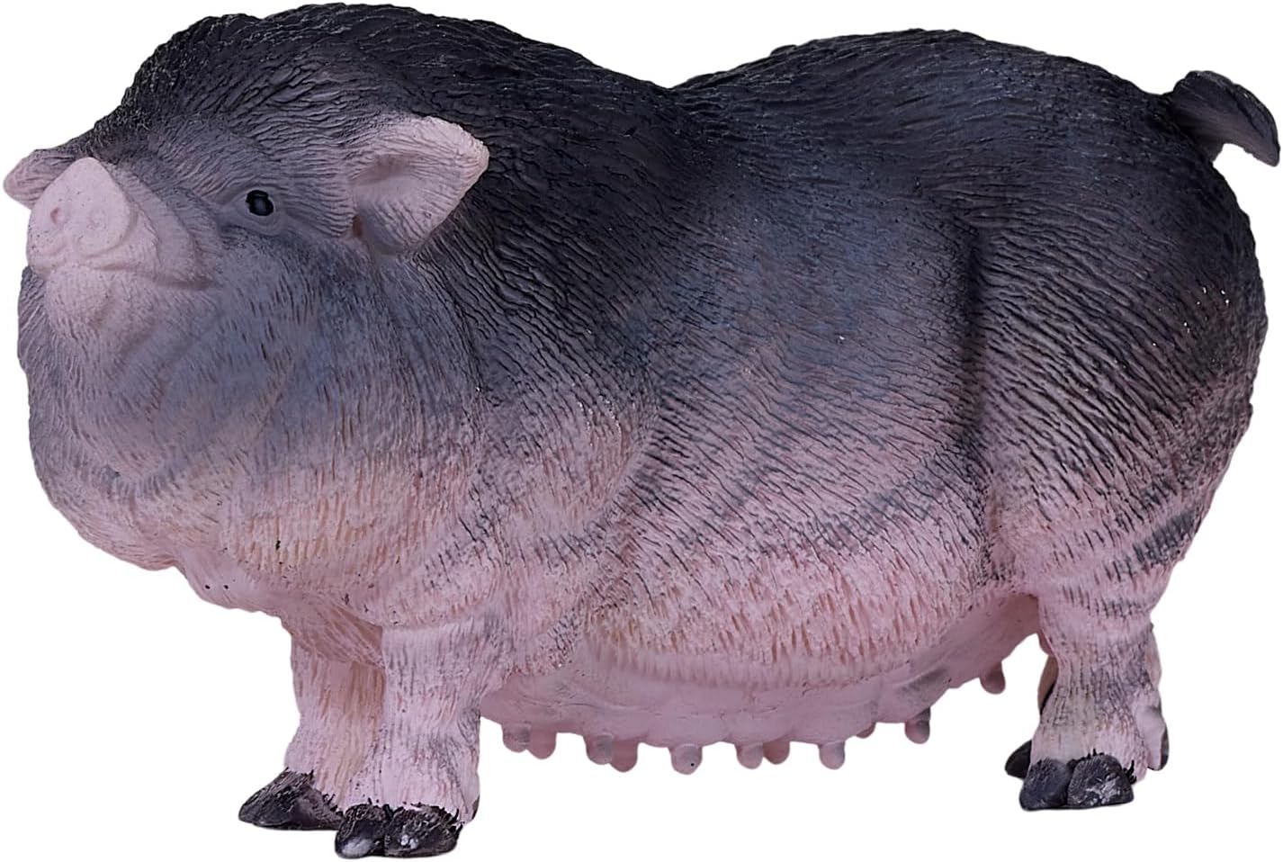 MOJO - Pot Bellied Pig