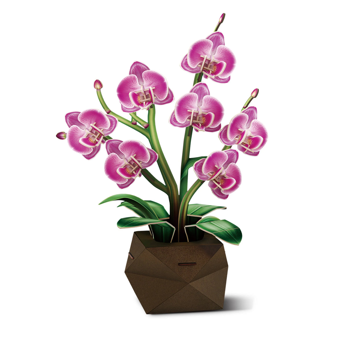 Orchid Flower 3D Construction Set