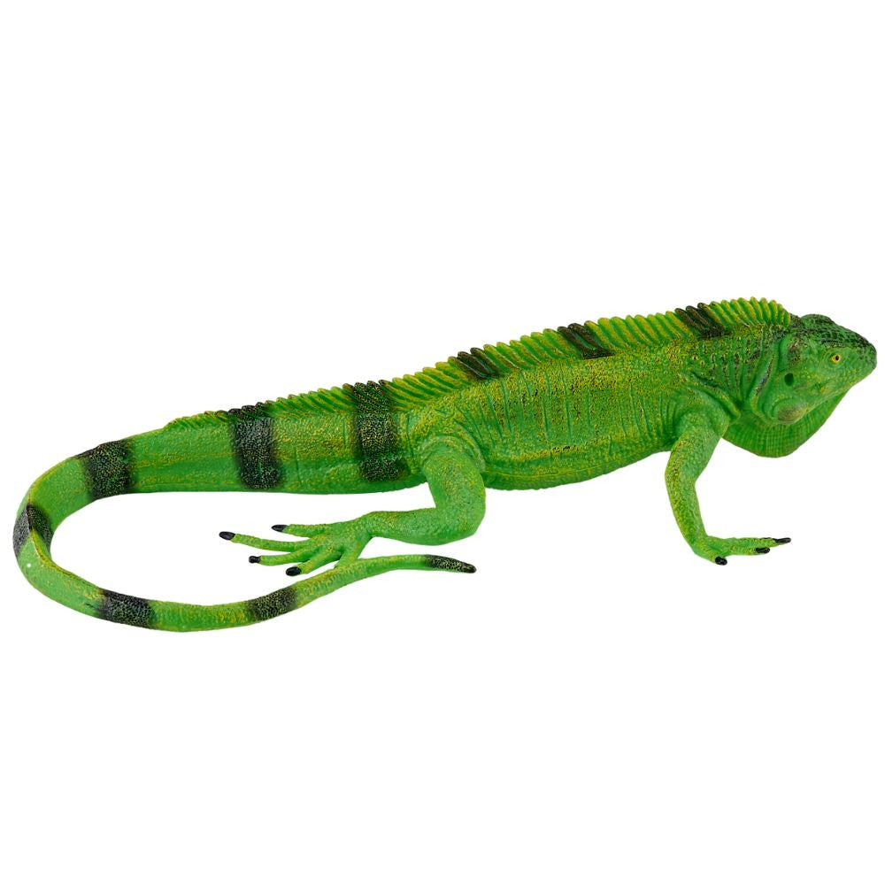 MOJO - Iguana