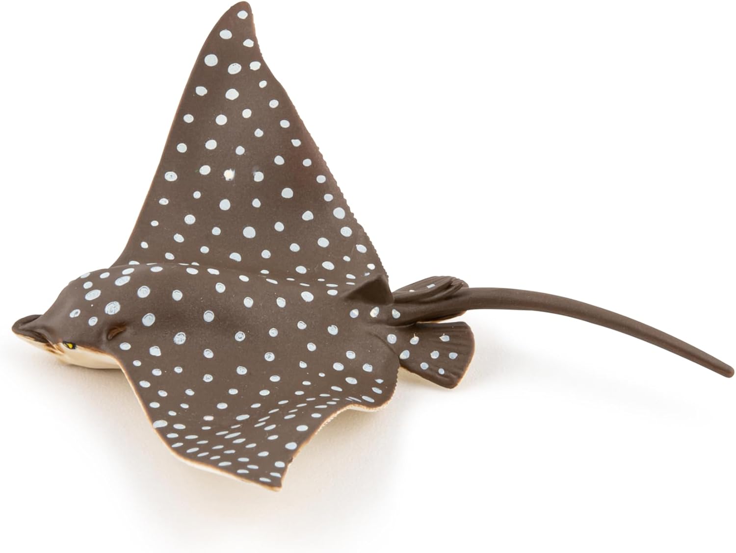 MOJO - Spotted Eagle Ray