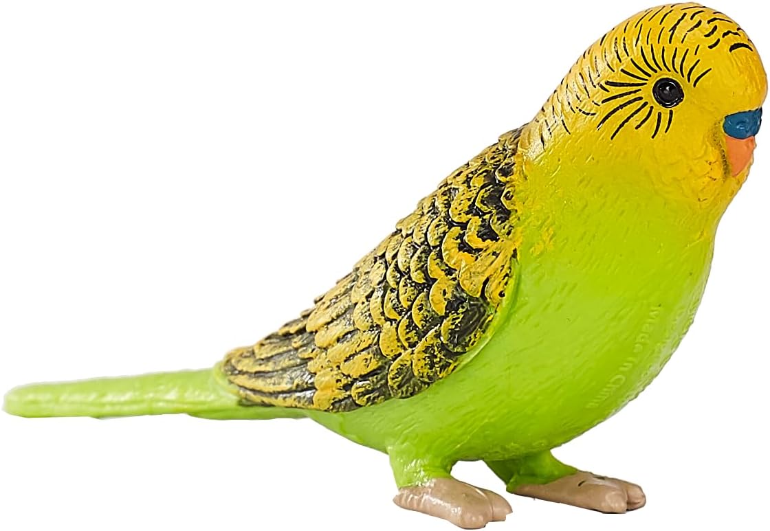 MOJO - Budgerigar Green